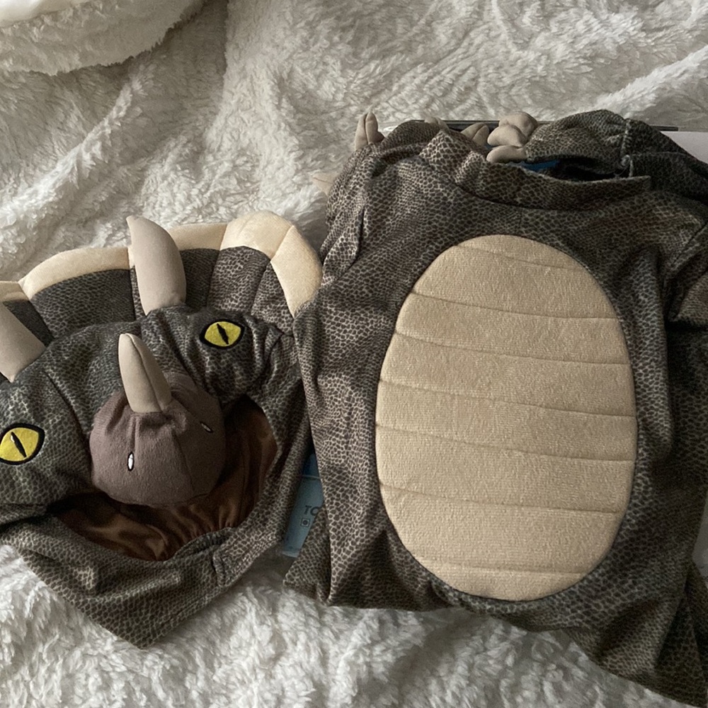 Dino Costume